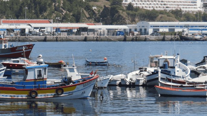 fullday arrábida park private tour from lisbon