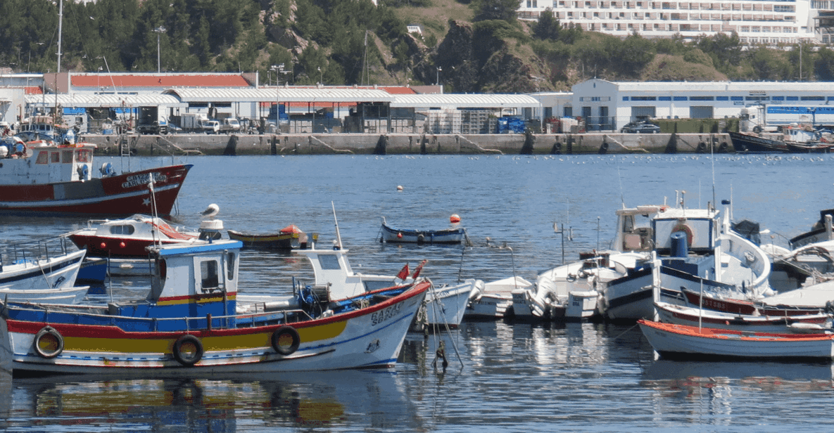 Full-Day Arrábida Park Private Tour from Lisbon