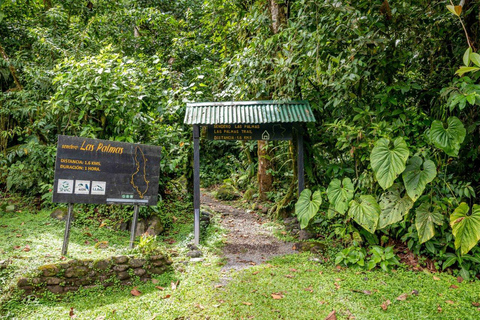 COSTA RICA:UPPTÄCK COSTARICAS VILDA DJUR-STRAND &amp; SKOG 2VECKOR