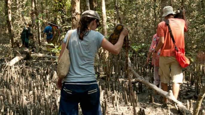sundarban day tour from khulna