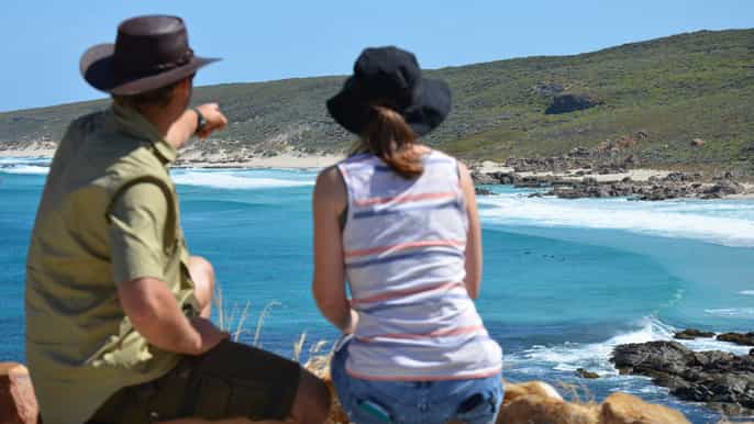 half day wine and sights discovery tour busselton