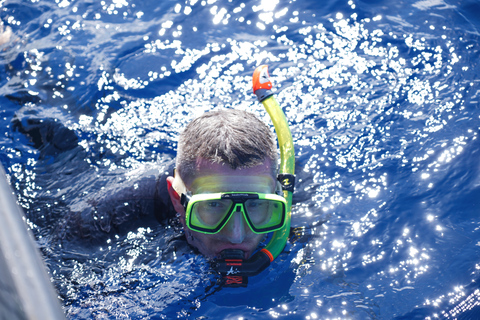 Depuis Funchal : Aventure avec les dauphins en bateau rapide