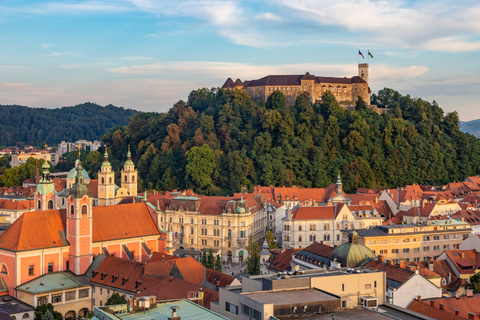 Ljubljana: Private Guided Tour