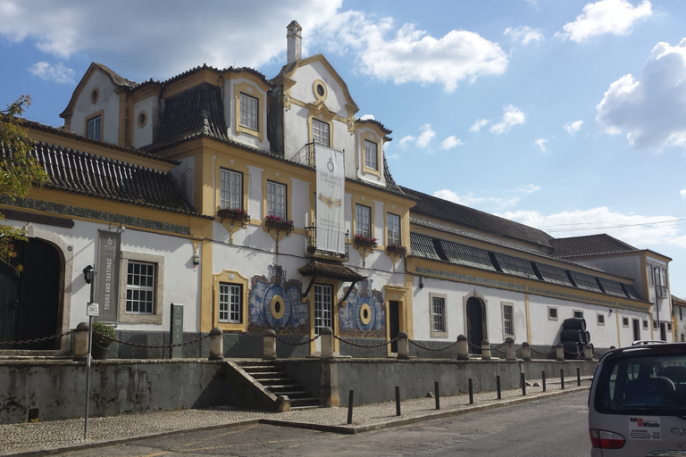 Arrábida e Sintra: Excursão Privada de Vinhos de Dia Inteiro