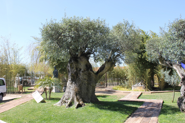 Arrábida en Sintra: Full-Day Private Wine Tour