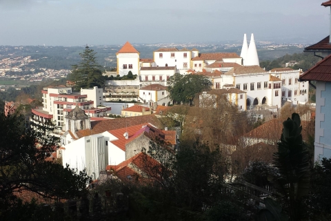 Arrábida en Sintra: Full-Day Private Wine Tour