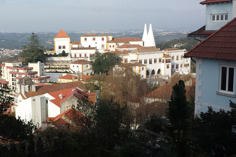 Arrábida e Sintra: Excursão Privada de Vinhos de Dia Inteiro