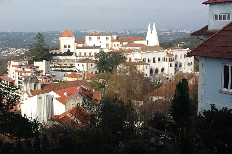 Arrábida en Sintra: Full-Day Private Wine Tour