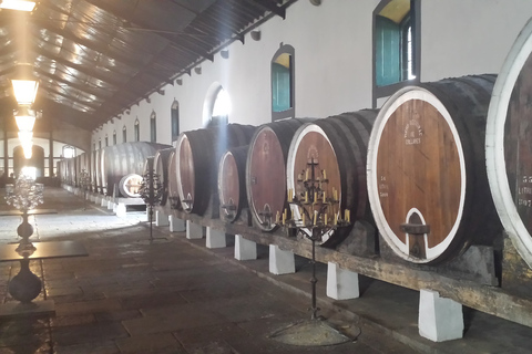 Arrábida en Sintra: Full-Day Private Wine Tour