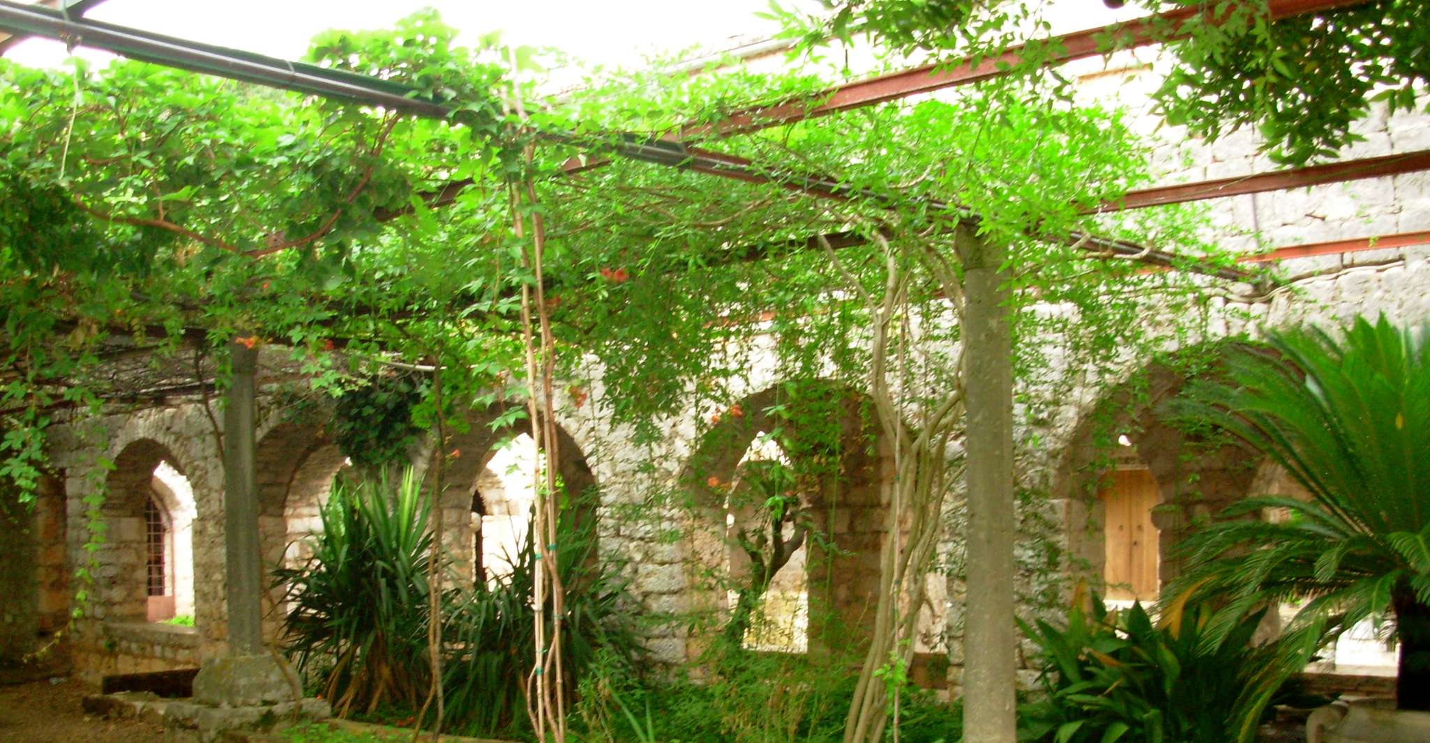 The Best of Hvar in a Day with Wine tasting and Local Dinner - Housity
