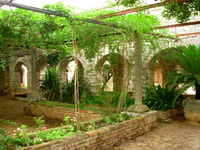 The Best of Hvar in a Day with Wine tasting and Local Dinner - Housity