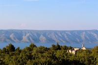 Tour lavande de 3 heures de Hvar - Housity