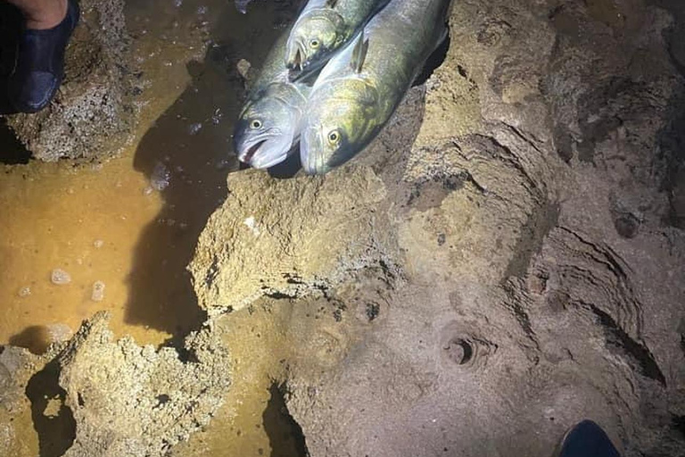 A day&#039;s fishing on the Atlantic coast (transport + lunch included)