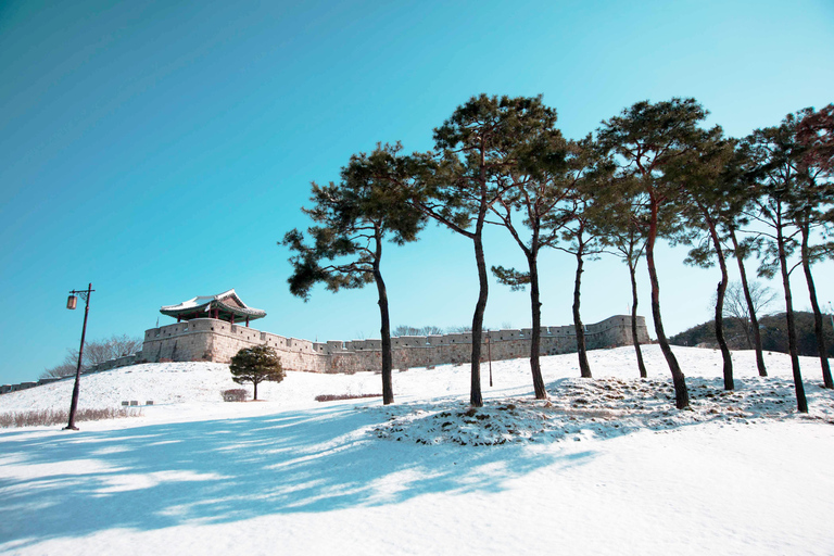 From Seoul: Suwon Hwaseong and Deogyusan Winter Tour Hongik Univ Station Exit 4