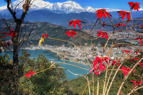 1 journée d'excursion à Pokhara au départ de Katmandou par avion