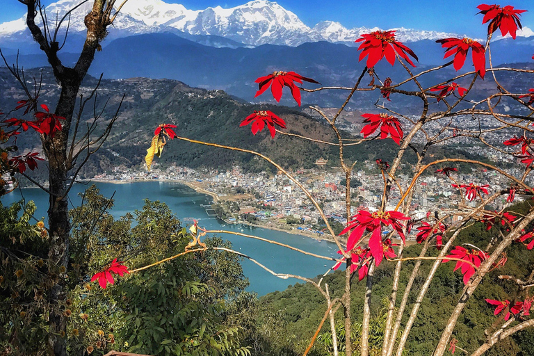 Excursão de 1 dia a Pokhara saindo de Katmandu de avião