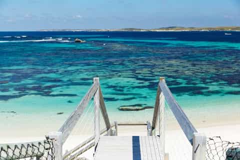 Rottnest Island Ferry & Bus Tour from Perth or Fremantle