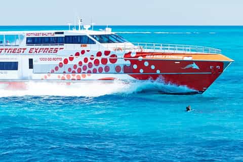 From Perth: Rottnest Island Ferry & Bus Tour