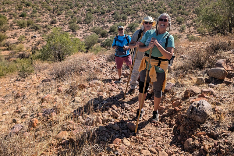 Mesa: Copper Mile Desert Hike