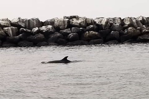 马里纳德尔雷：1小时游船之旅玛丽娜德尔雷：1小时游船之旅