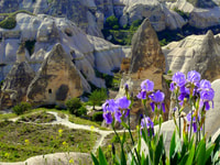 ابرز ابرز يوم كامل من جولة كپاپوڠيا - Hizvo