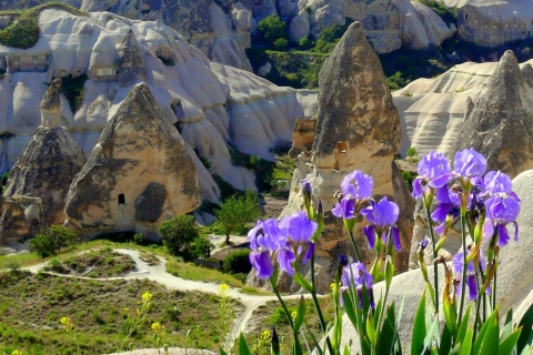 Visite d'une journée complète des points forts de la Cappadoce