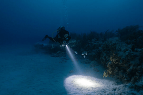 Larnaca: Private Zenobia Beginners Divers