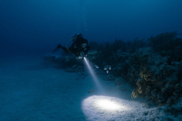 Larnaca: Immersioni private per principianti Zenobia