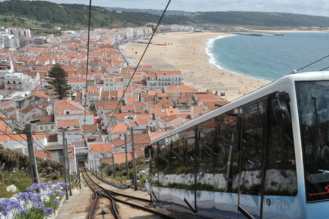 Excursão particular de meio dia a Fátima saindo de LisboaTour privado em inglês, francês, português ou espanhol