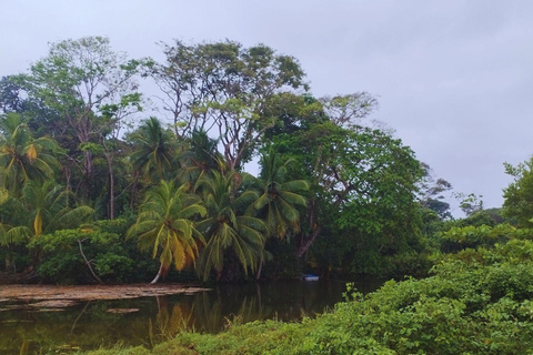 Private Kayaking Adventure: a 2-hour Wildlife Escape Self-Guided Kayaking Adventure: a 2-hour Wildlife Escape