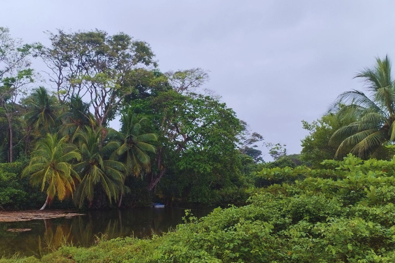 Private Kayaking Adventure: a 2-hour Wildlife Escape Self-Guided Kayaking Adventure: a 2-hour Wildlife Escape