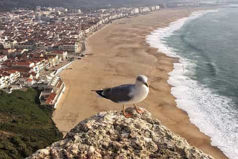 Fatima, Batalha, Nazare, Obidos Private Full Day Tour