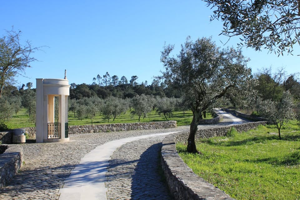 Fatima Tree Lisbon Fatima Sanctuary Private Half Day Tour | GetYourGuide