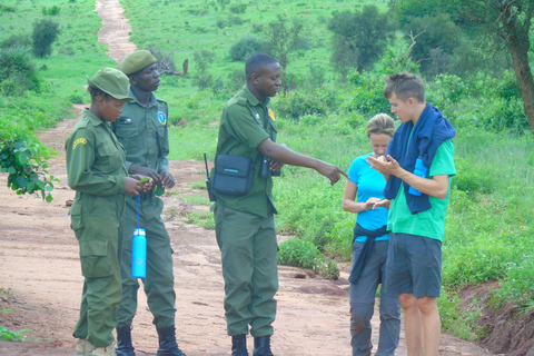 14Days Volunteer Community Wildlife Sanctuary (14 dias de voluntariado no santuário de vida selvagem da comunidade)