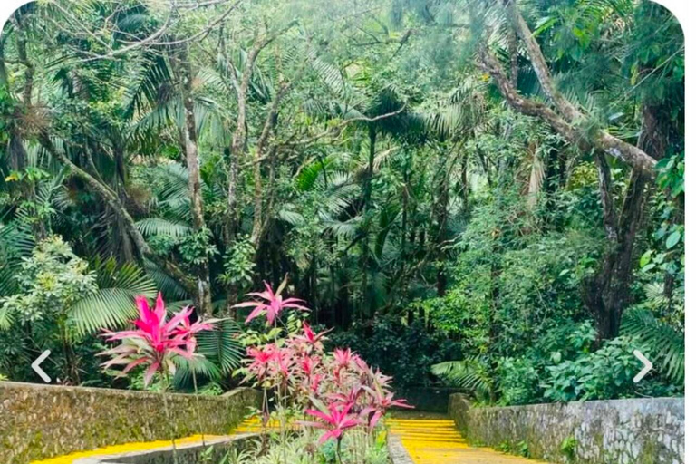 Puerto Plata: Guided City Tour & Mount Isabel Torres Visit Puerto Plata: Amber Cove