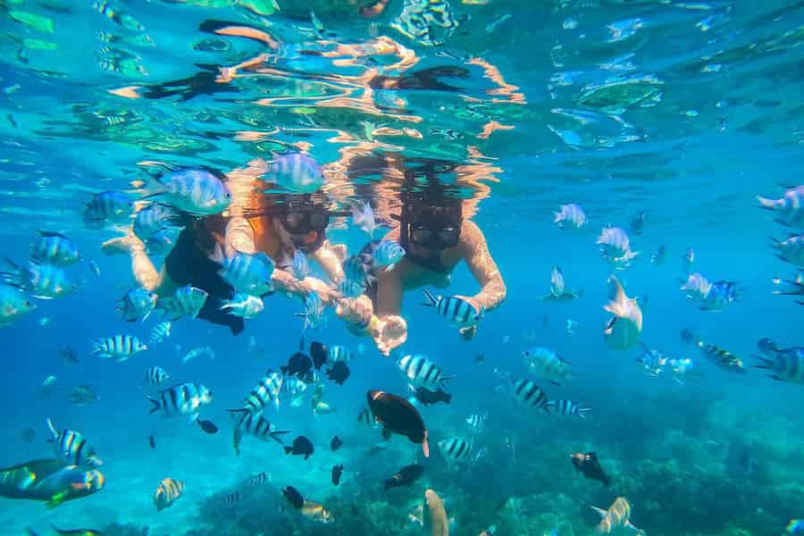 Nha Trang: 3 Inseln, Schnorcheln, Tagestour mit Mittagessen. Foto: GetYourGuide Nha Trang: 3 Inseln, Schnorcheln, Tagestour mit Mittagessen. Foto: GetYourGuide