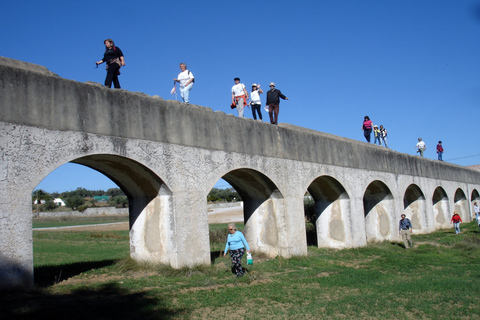 From Lisbon: Evora Private Day Trip with Wine Tasting