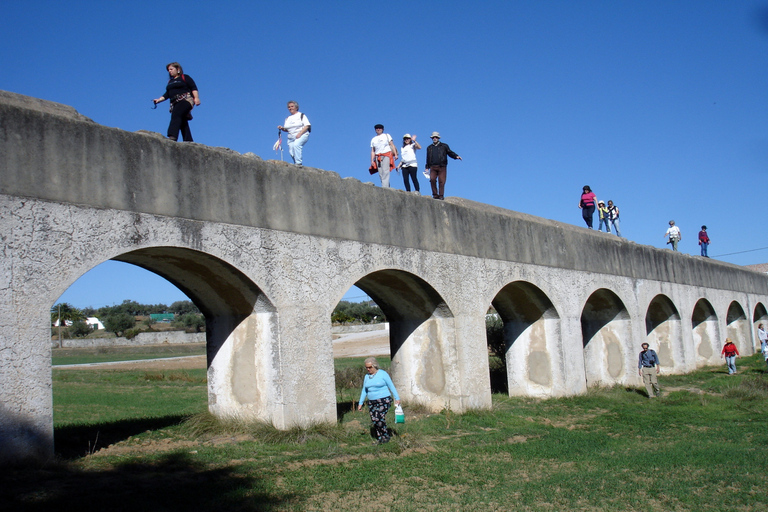 From Lisbon: Evora Private Day Trip with Wine Tasting