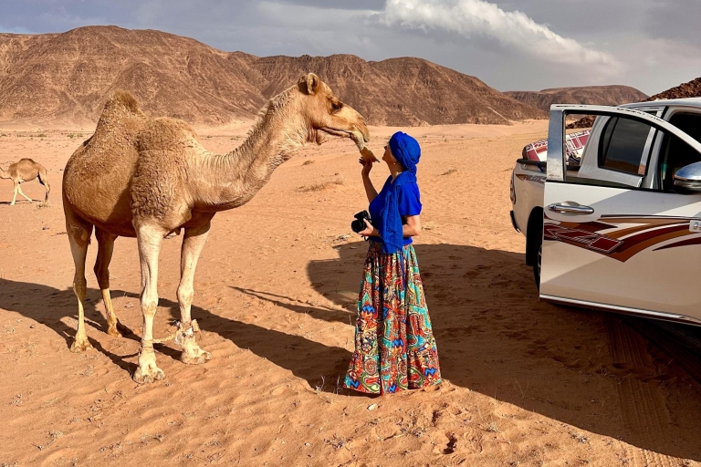 WadiRum Highlights mit dem Jeep + White DesertHighlights WadiRum+Ausflug in die Weiße Wüste - Übernachtung
