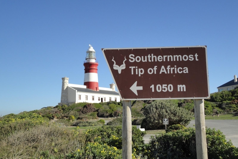 Cape Agulhas-tour vanuit Kaapstad