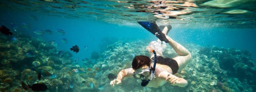Riviera Maya: Esperienza di snorkeling con due scogliere