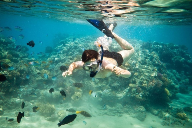 Riviera Maya: snorkelervaring met twee riffenTwee-Reef snorkelervaring met lunch