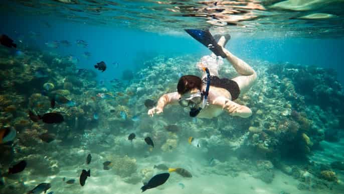 riviera maya schnorchelerlebnis an 2 riffen