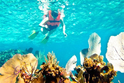 Riviera Maya: snorkelervaring met twee riffenTwee-Reef snorkelervaring met lunch
