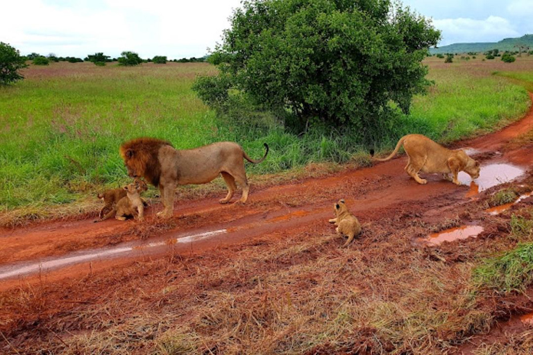 Mombasa: 3-tägige Safari im Tsavo Ost- und West-Nationalpark