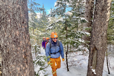 Winter Ice Canyoneering Adventure (Beginner) - Half Day