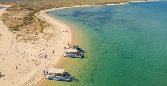 Faro: Deserta Island and Farol Island Catamaran Boat Trip