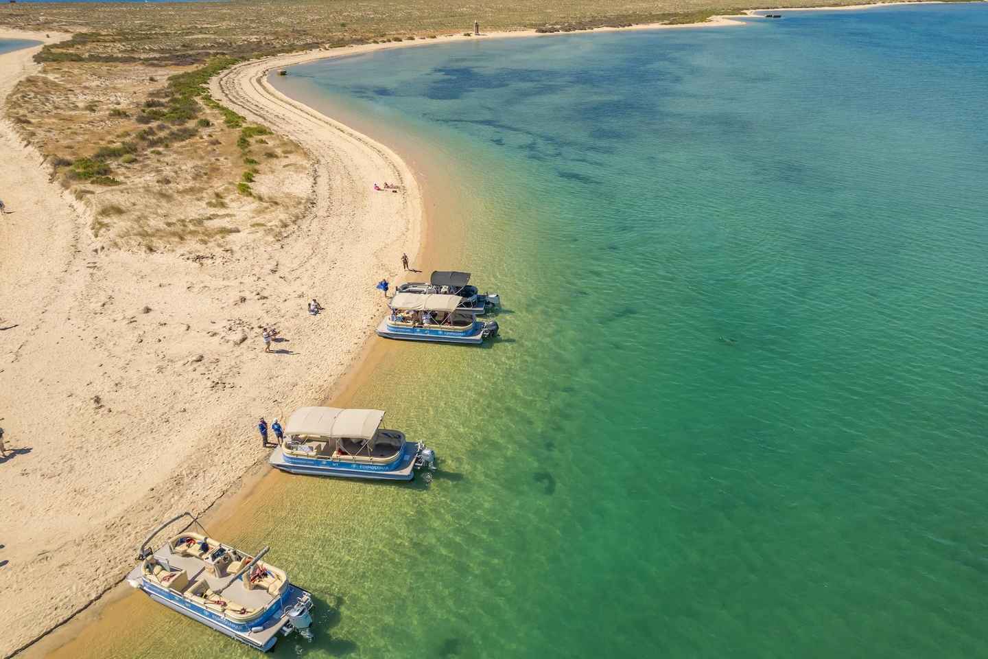 Faro: Deserta Island and Farol Island Catamaran Boat Trip - Faro: Deserta Island and Farol Island Catamaran Boat Trip