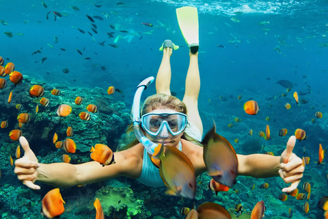 Bali: Snorkeling in 2 punti con pranzo e trasporto