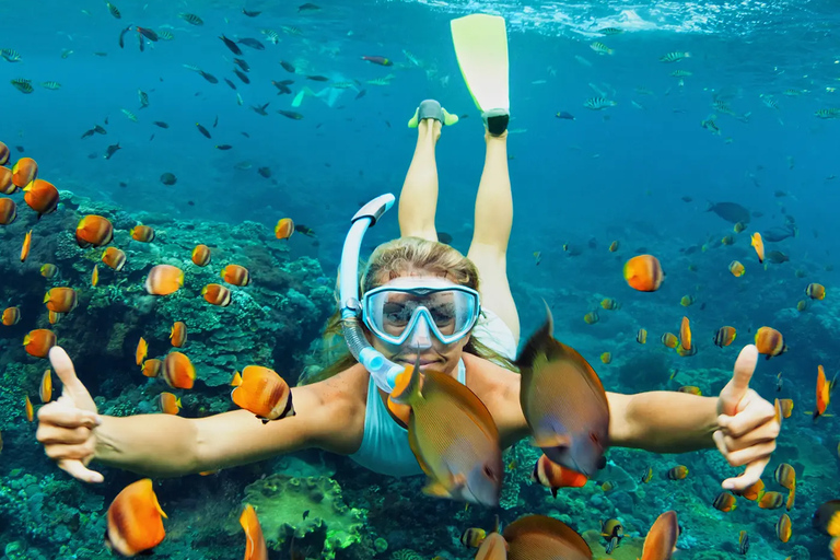 Bali: Snorkling på 2 platser med lunch och transport